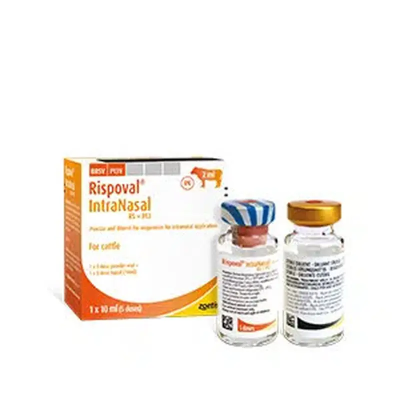 Rismol Injection Rispoval RS+PI3 Intranasal - Anivita